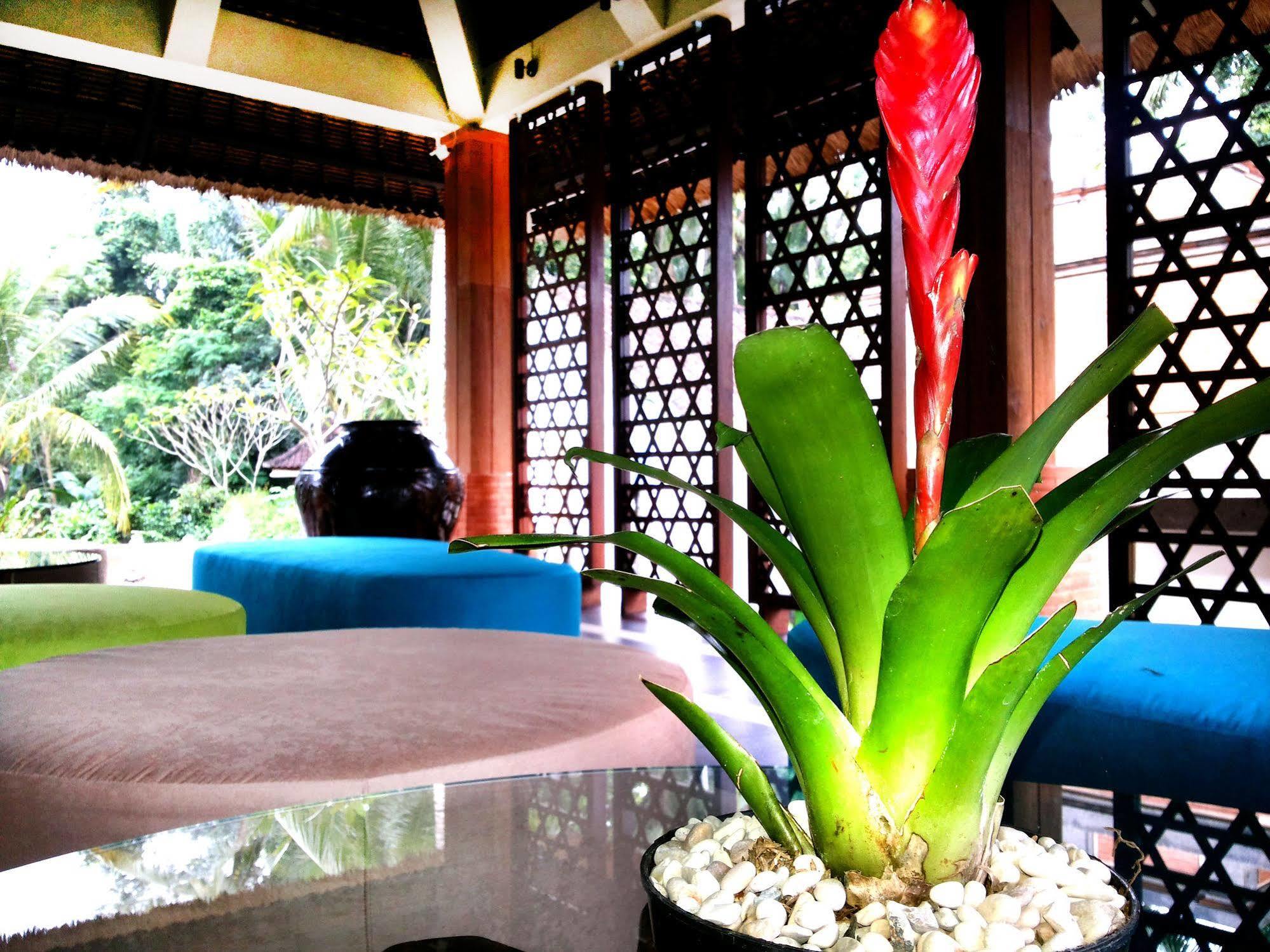 Full Moon Villa Ubud Екстериор снимка